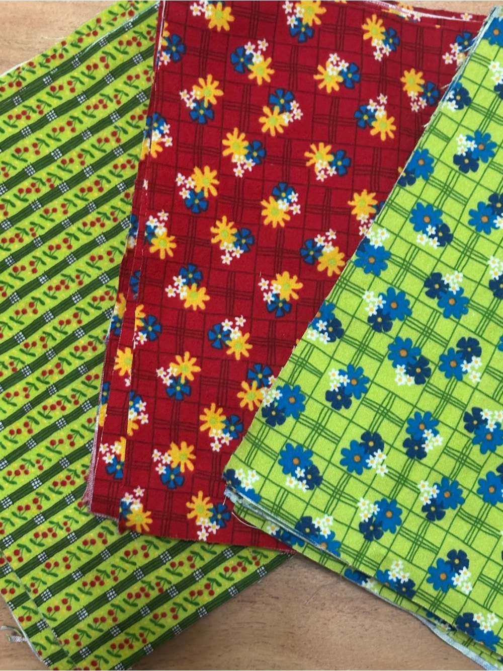 Lady Bug Hug Fabric Bundle in Red and Lime Green